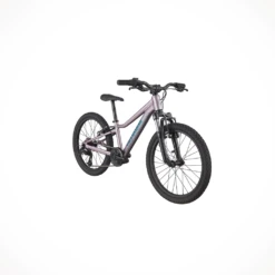 Cannondale Trail 20 — Kids' -Outdoor Sports Shop CANNON 3 7e822ffb cb64 4528 bf4c c83130972509