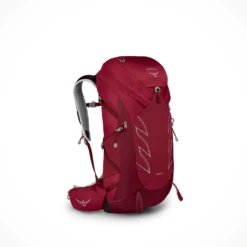 Osprey Talon 36